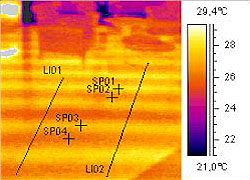 Thermografie des Parkettbodens